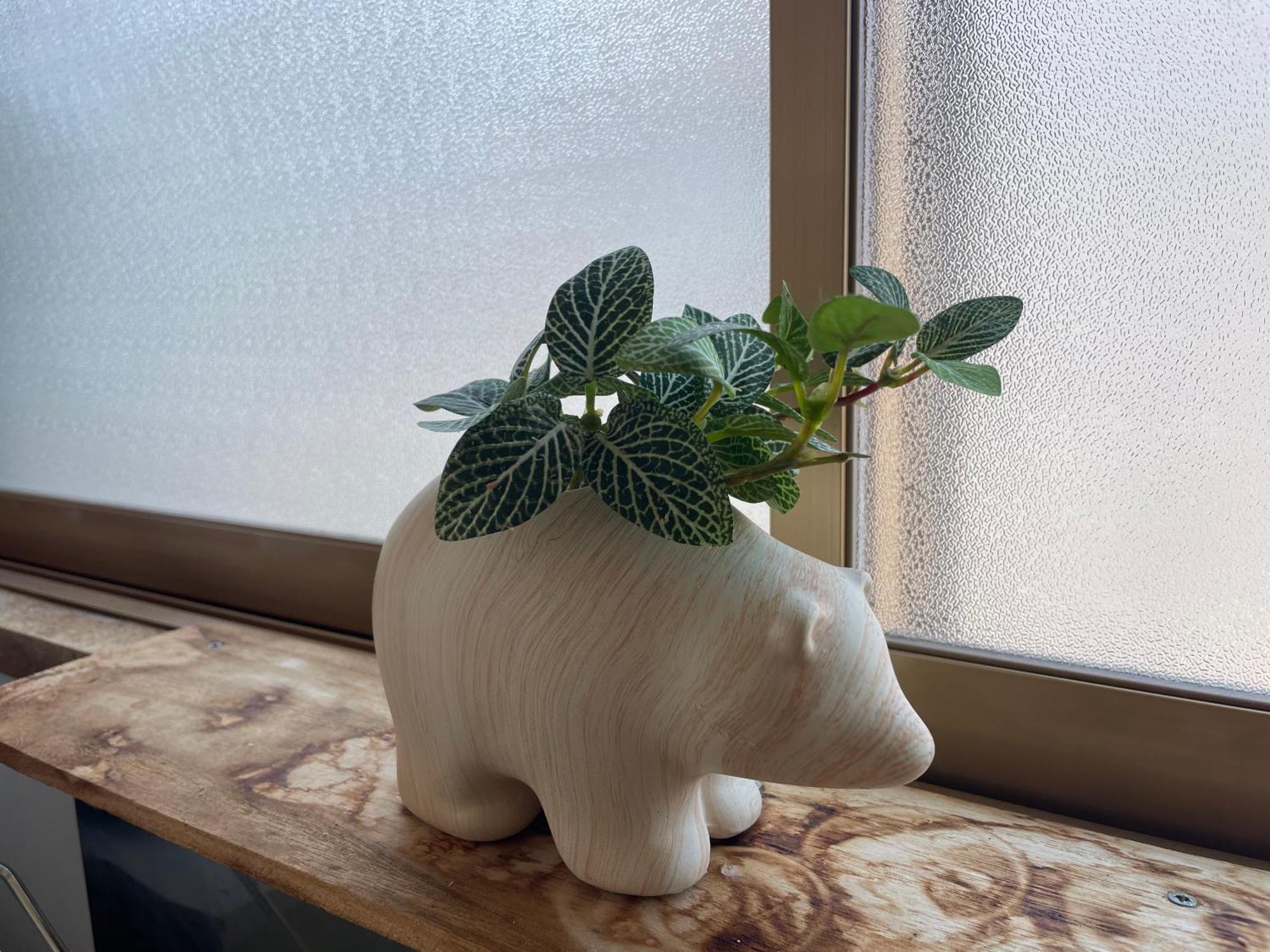 Bear Foot東町 Apartment
